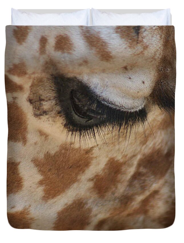 Laurie Lago Rispoli Duvet Cover featuring the photograph Gentle Eyes by Laurie Lago Rispoli