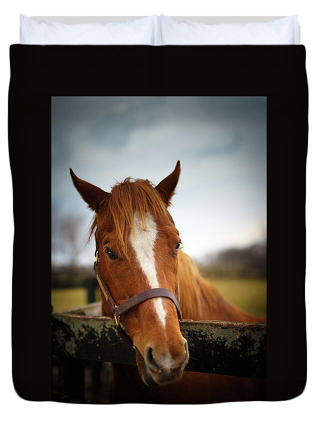 Horse Duvet Cover featuring the photograph Genuine Reward by Shane Holsclaw