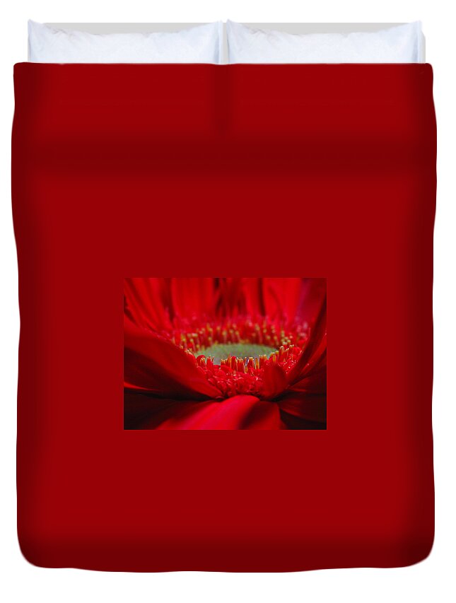 Gerber Daisy Duvet Cover featuring the photograph Gerber Daisy by Juergen Roth