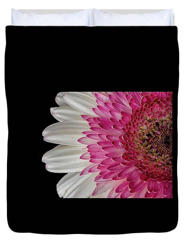 Flower Duvet Cover featuring the photograph Gerbera Flower by Catherine Reading
