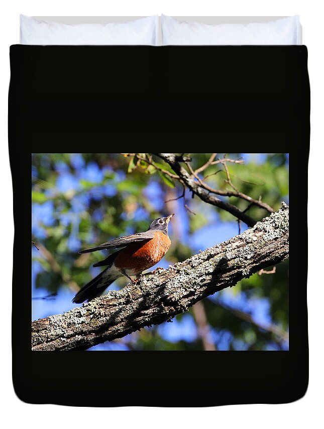 American Robin Duvet Cover featuring the photograph Get Down and Boogie by Jennifer Robin