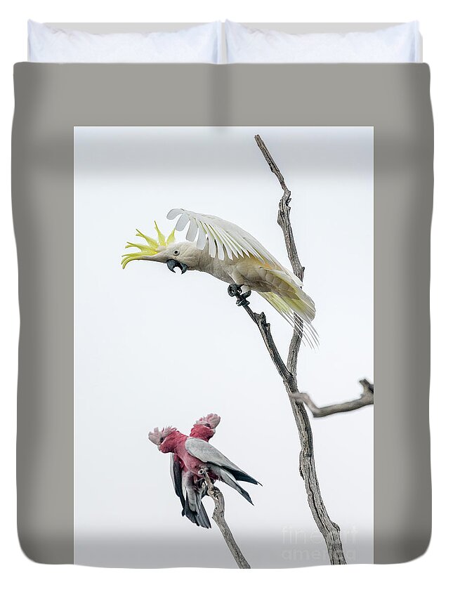 Bird Duvet Cover featuring the photograph Get Off My Perch by Werner Padarin