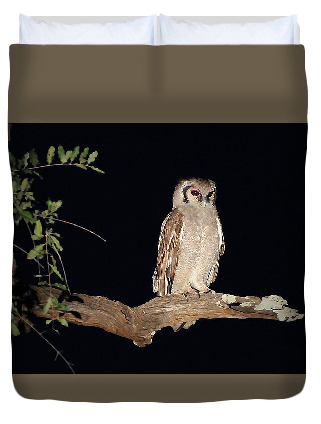Giant Duvet Cover featuring the photograph Giant Eagle Owl by Ted Keller