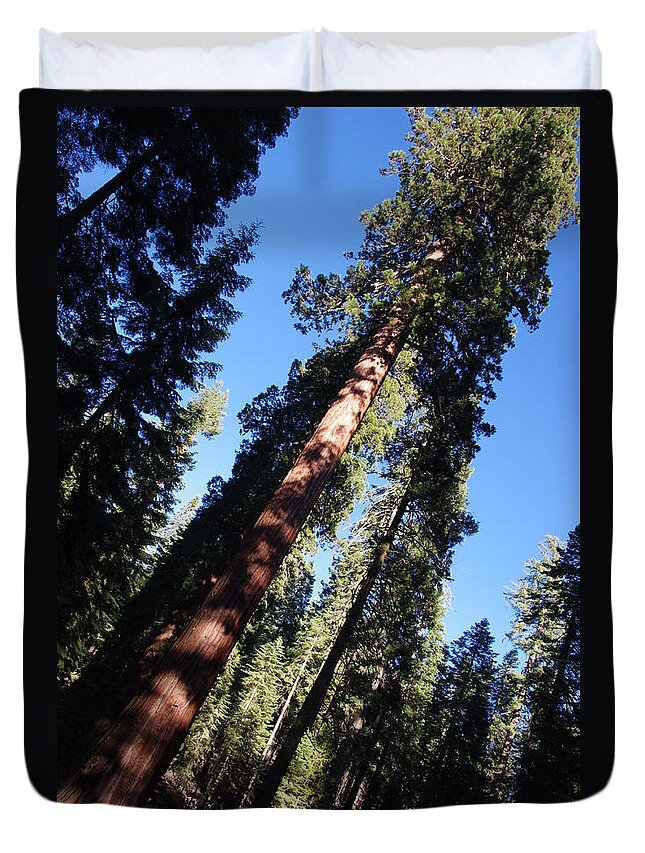 Giant Redwoods Duvet Cover featuring the photograph Giant Redwood Trees by Jeff Lowe
