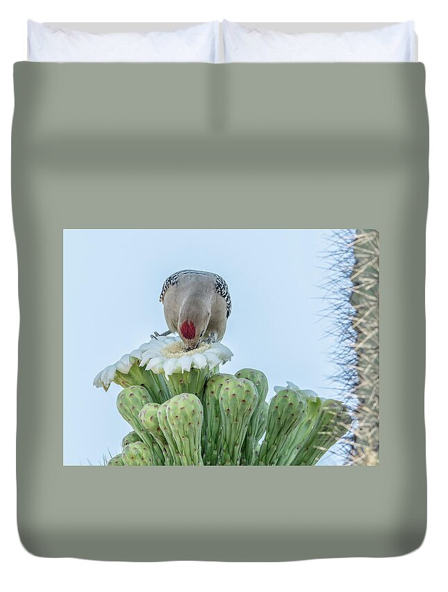 Gila Duvet Cover featuring the photograph Gila Woodpecker and Saguaro Cactus Flower 7320 by Tam Ryan