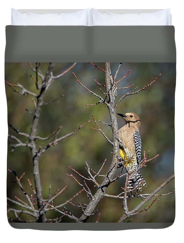 Tucson Duvet Cover featuring the photograph Gila Woodpecker by Dan McManus