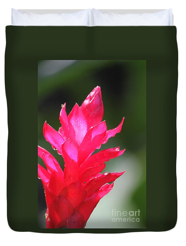 Duvet Cover featuring the photograph Ginger Dew by Bev Veals