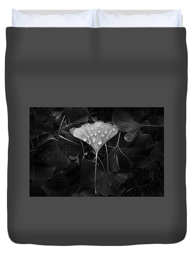 Leaf Duvet Cover featuring the photograph Ginkgo by Scott Norris