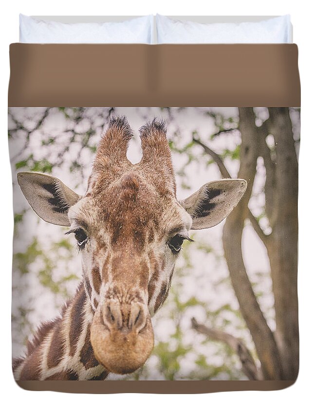 Giraffe Duvet Cover featuring the photograph Giraffe by Jamie Cook