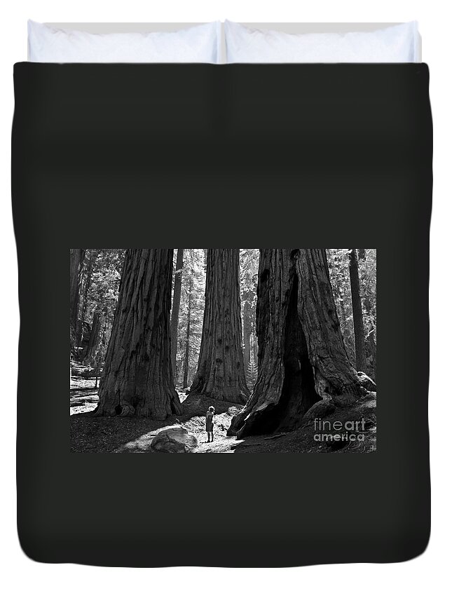 Sequoias Duvet Cover featuring the photograph Girl and Giants by Olivier Steiner