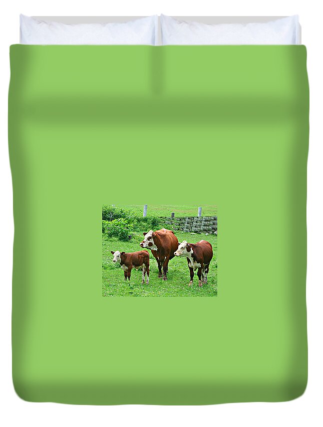 Cows Duvet Cover featuring the photograph Give Me A Home by Barbara S Nickerson
