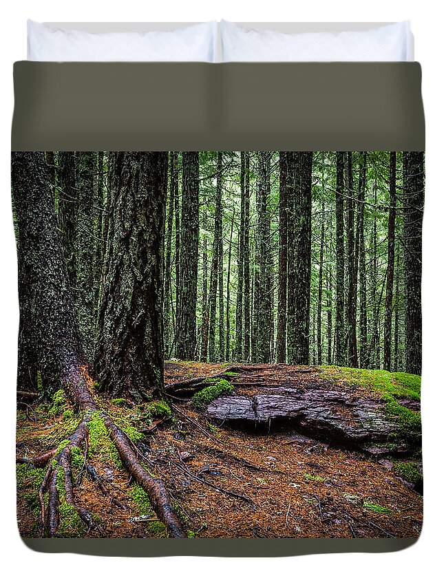 Art Duvet Cover featuring the photograph Glacier Green by Gary Migues