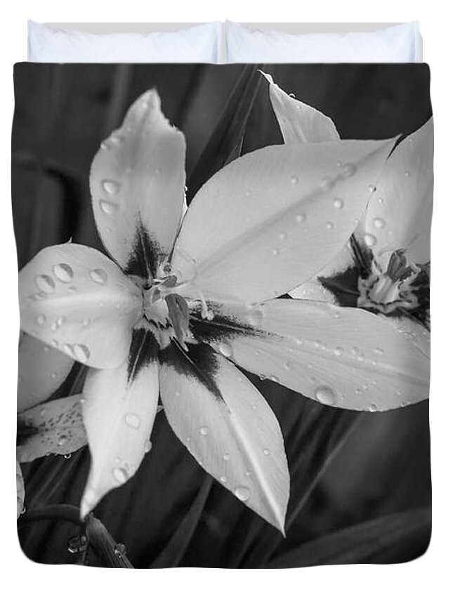 Flowers Gladiolus Leaves Petals White Raindrops Water Monochrome Horticulture Dark Centres Black And White Duvet Cover featuring the photograph Gladiolus Monochrome by Jeff Townsend
