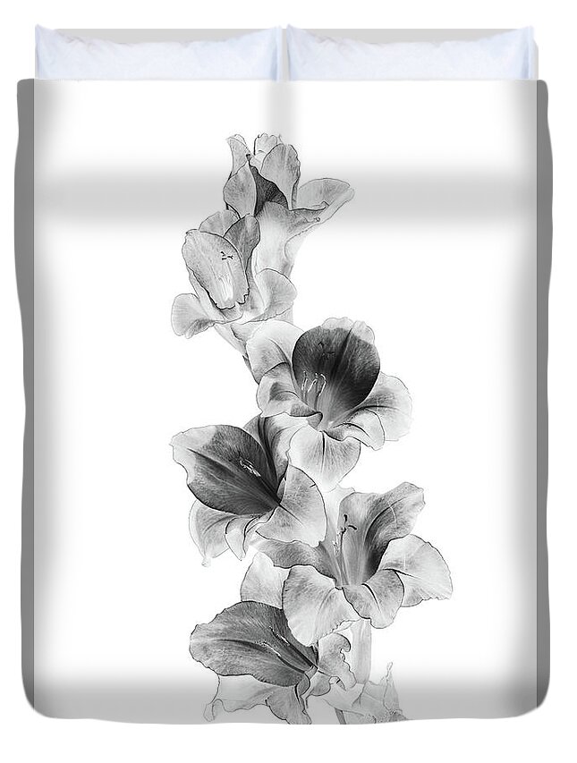 Gladiolus Duvet Cover featuring the photograph Gladiolus on White by Cheryl Day