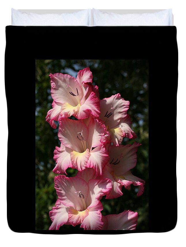 Gladiolus Duvet Cover featuring the photograph Gladiolus Parfait by Tammy Pool