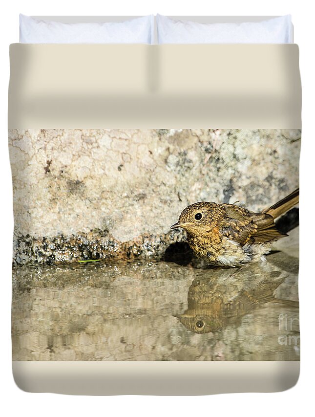 Glassy Duvet Cover featuring the photograph Glassy by Torbjorn Swenelius