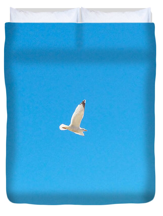 Photography Duvet Cover featuring the photograph Gliding Seagull by Francesca Mackenney
