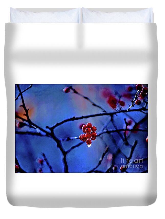 Blue Hills Reservation Duvet Cover featuring the photograph Glistening Hope by Dave Pellegrini