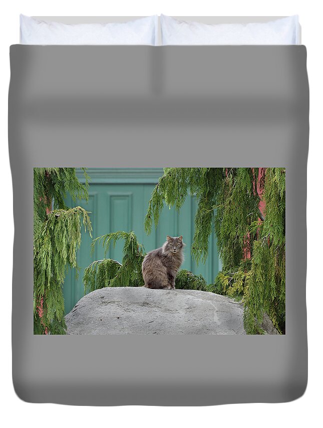 Cat Duvet Cover featuring the photograph Glorious Cat by Kathleen Stephens