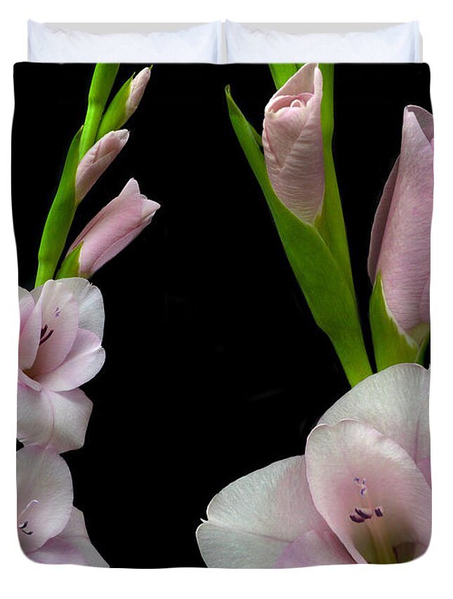 Gladiolus Duvet Cover featuring the photograph Glorious Gladiolus. by Terence Davis