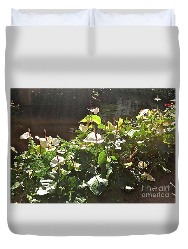 White Anthuriums Duvet Cover featuring the photograph Glowing White Anthuriums by Barbara Plattenburg