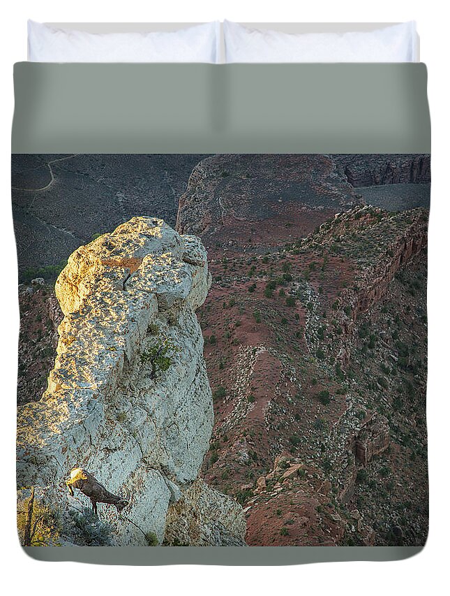 Grand Canyon Bighorn Sheep Duvet Cover featuring the photograph Go sheep go by Kunal Mehra