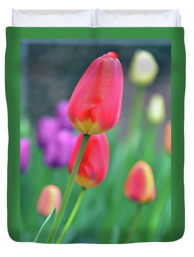 Tulip Duvet Cover featuring the photograph Go Your Own Way by Angelina Tamez