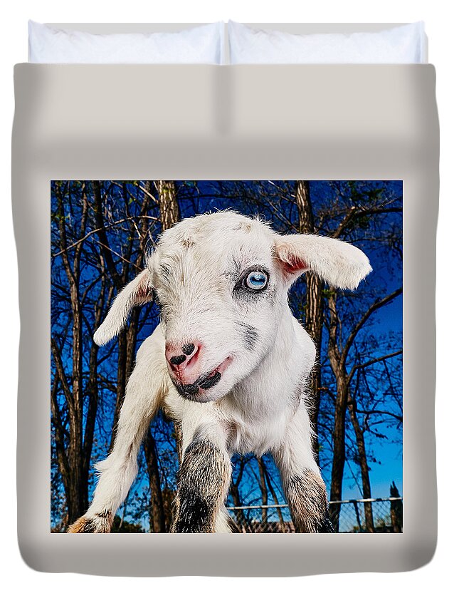 Goat Duvet Cover featuring the photograph Goat High Fashion Runway by TC Morgan