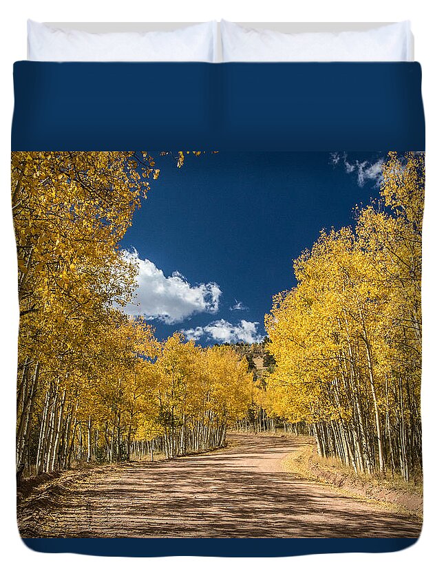 Colorado Duvet Cover featuring the photograph Gold Camp Road by Dawn Key