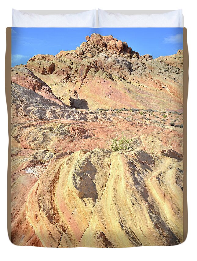 Valley Of Fire State Park Duvet Cover featuring the photograph Gold Ridge in Valley of Fire by Ray Mathis