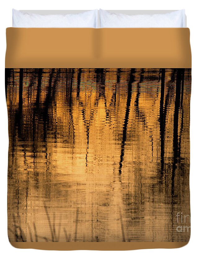 Water Duvet Cover featuring the photograph Golden Abstract by Shevin Childers
