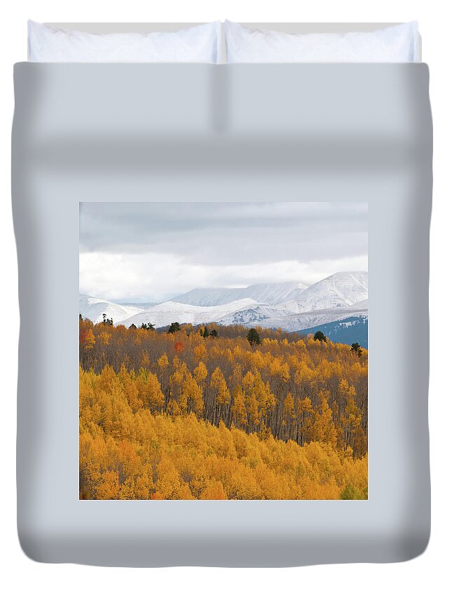 Aspen Duvet Cover featuring the photograph Golden Aspen and Snow Covered Mountains by Cascade Colors