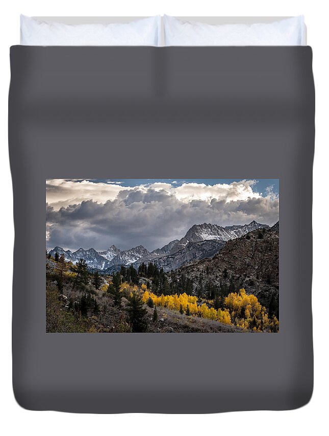 Mountains Duvet Cover featuring the photograph Golden Aspens and Snow by Cat Connor