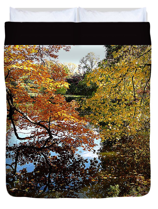 Autumn Duvet Cover featuring the photograph Golden Autumn Trees by Susan Savad
