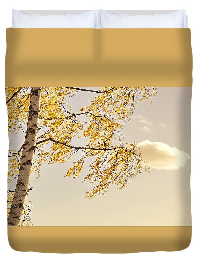 Autumn Duvet Cover featuring the photograph Golden birch leaves fluttering in a morning breeze by Ulrich Kunst And Bettina Scheidulin