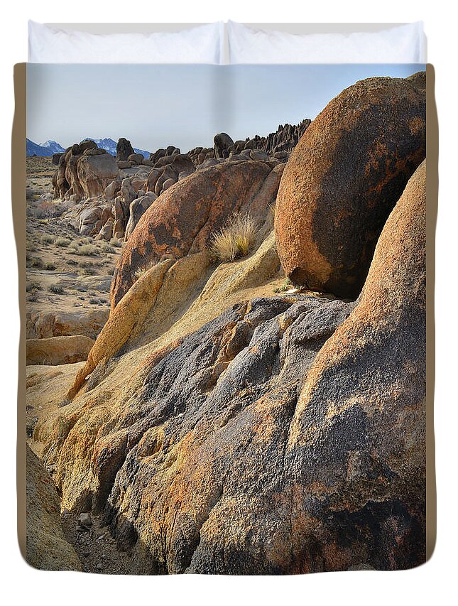 Alabama Hills Duvet Cover featuring the photograph Golden Boulders in Alabama Hills by Ray Mathis