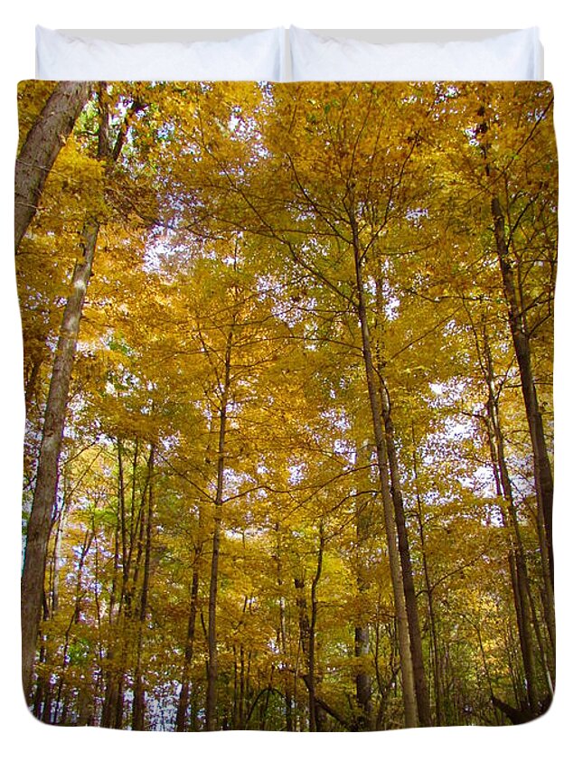 Yellow Duvet Cover featuring the photograph Golden Canopy by Pamela Clements