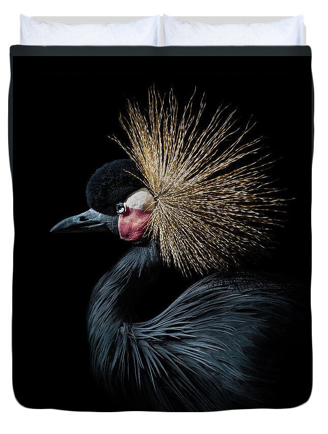 Bird Duvet Cover featuring the photograph Golden Crown by Bruce Bonnett