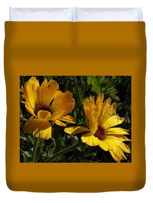 Botanical Duvet Cover featuring the photograph Golden Daisies by Richard Thomas