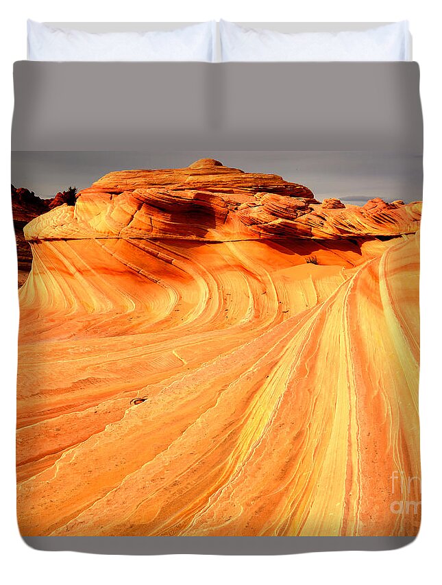 Golden Dragon Duvet Cover featuring the photograph Golden Desert Sculpture by Adam Jewell