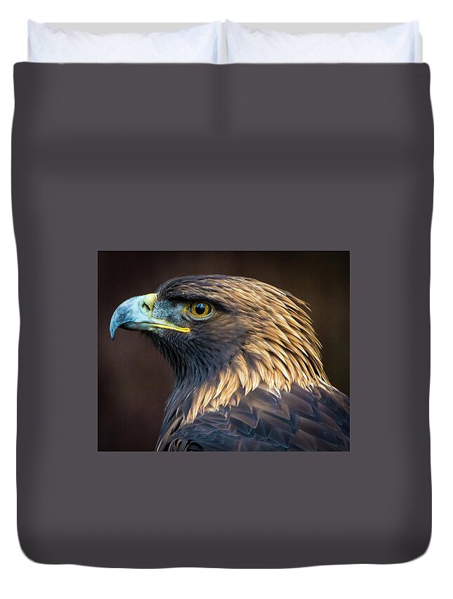 Eagles Duvet Cover featuring the photograph Golden Eagle 2 by Jason Brooks