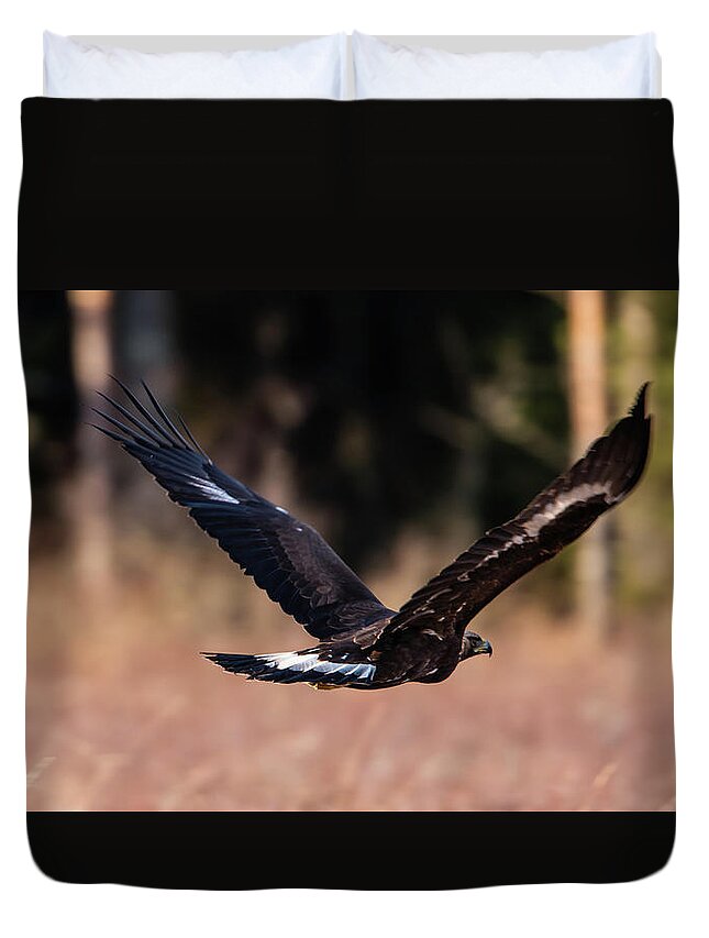 Golden Eagle Duvet Cover featuring the photograph Golden Eagle flying by Torbjorn Swenelius