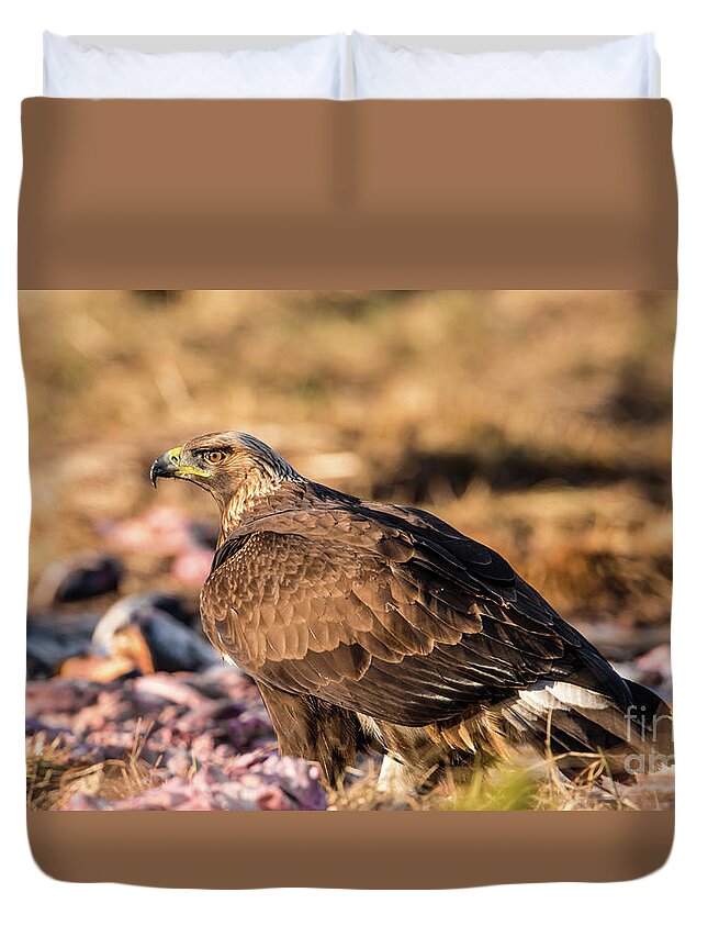 Golden Eagle Duvet Cover featuring the photograph Golden Eagle's Back by Torbjorn Swenelius