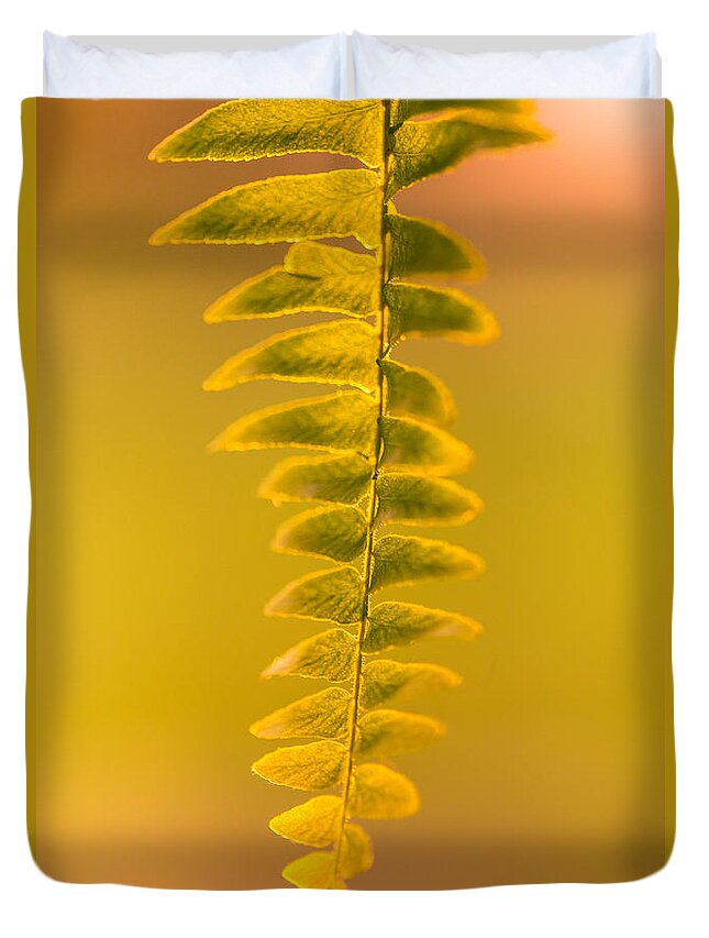 Fern Duvet Cover featuring the photograph Golden Fern by Shane Holsclaw