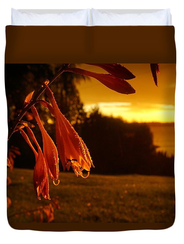 Sunset Duvet Cover featuring the photograph Golden Hour by Amanda Jones