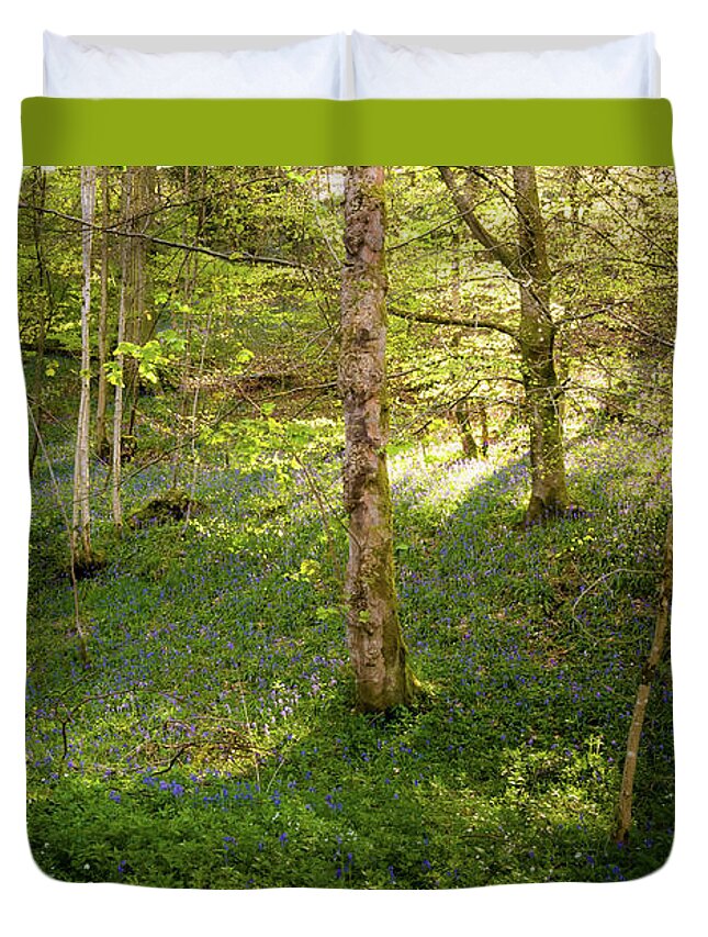 Bolton Abbey Duvet Cover featuring the photograph Golden hour in the woods by Mariusz Talarek