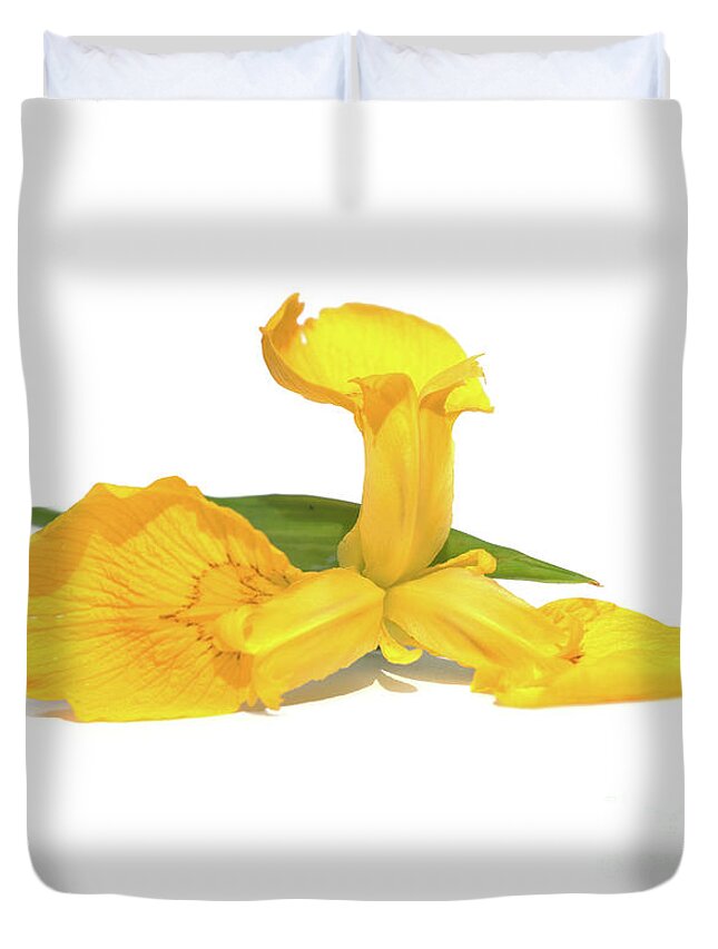 Yellow Iris Duvet Cover featuring the photograph Golden Iris by Terri Waters