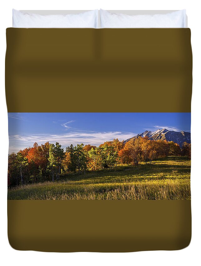 Golden Meadow Duvet Cover featuring the photograph Golden Meadow by Chad Dutson