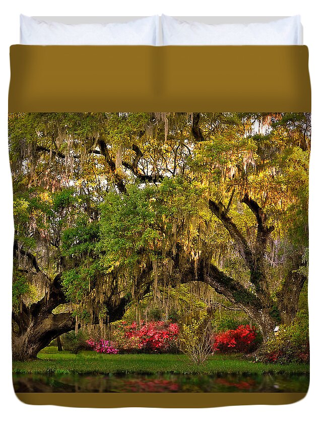 Oak Duvet Cover featuring the photograph Golden Oaks by Lisa Lambert-Shank