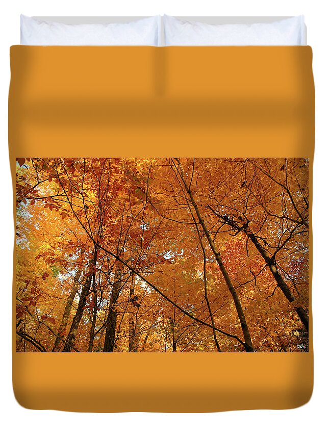 Forest Duvet Cover featuring the photograph Golden October forest by GoodMood Art
